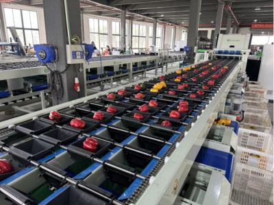 引領果蔬分選技術革新 嘉創利農機械助力農業現代化與智能化清潔機械革新
