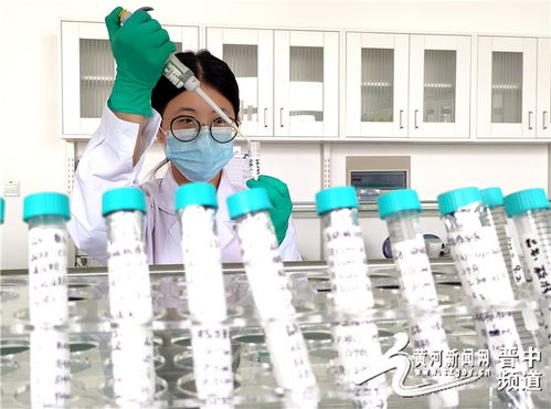 創(chuàng)新突破！全省首家動(dòng)物疫病診斷試劑順利通過(guò)GMP認(rèn)證，生物醫(yī)藥研發(fā)再上新臺(tái)階